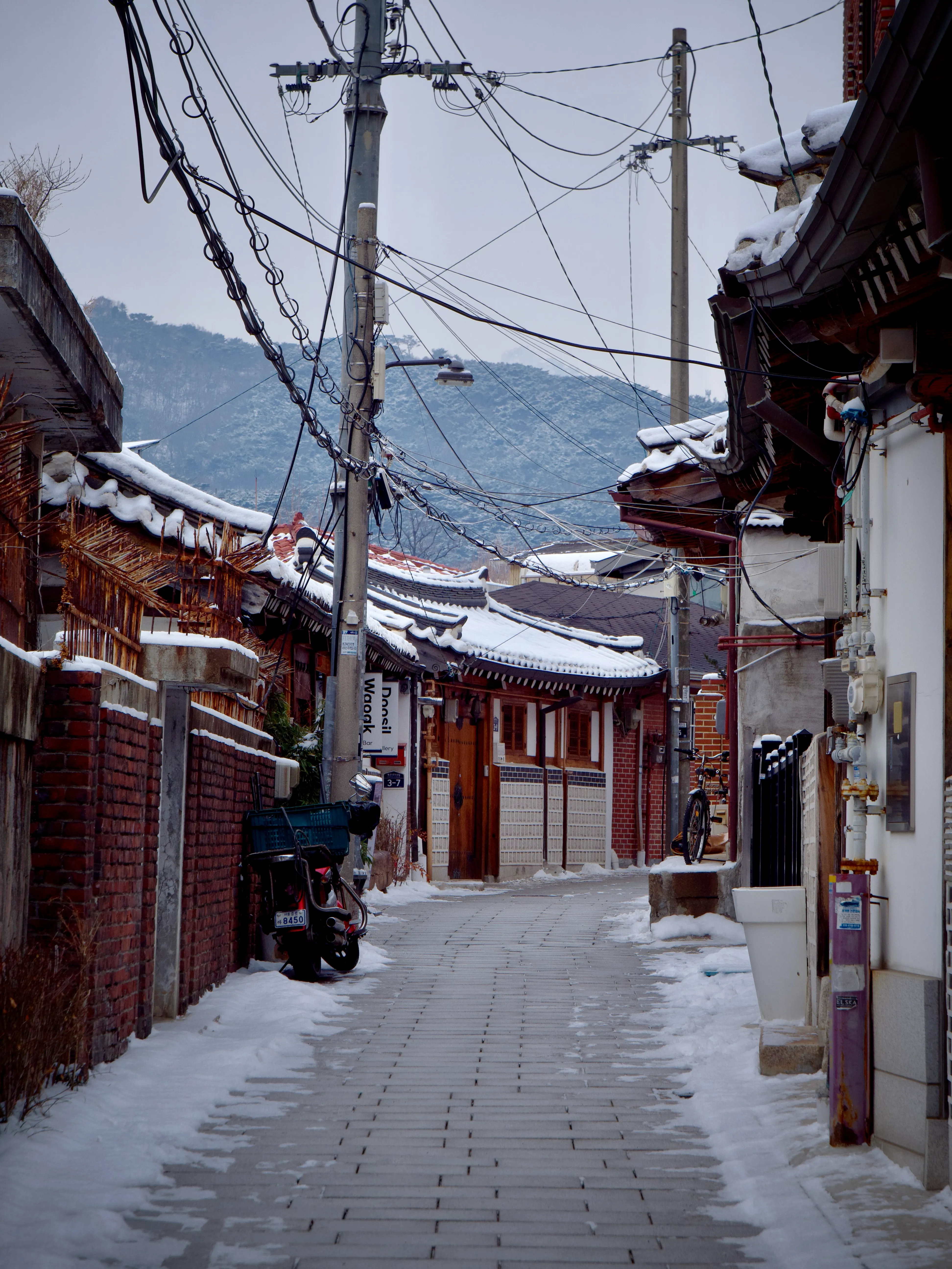 Roaming The Streets Gallery - Picture 12